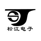 淮南市松江电子有限责任公司