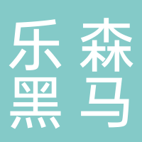 淮南市乐森黑马乐器有限公司