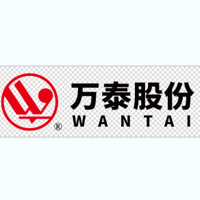淮南万泰电子股份有限公司