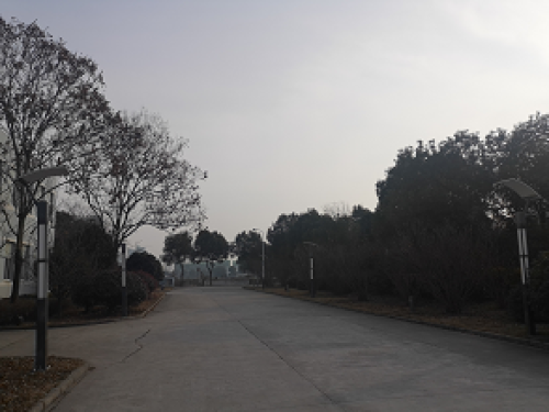 公司道路.png